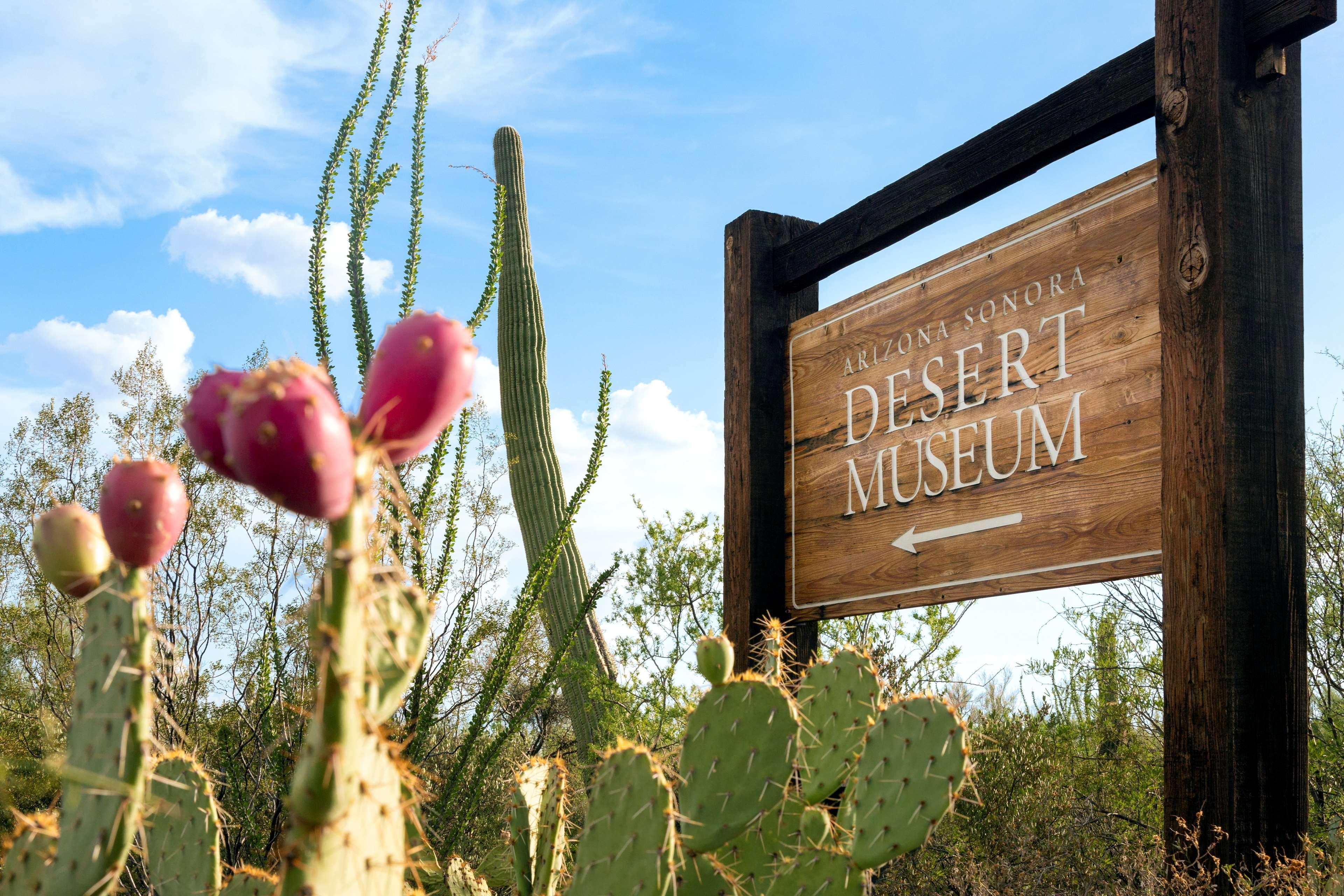 Hyatt Place Tucson Central Ngoại thất bức ảnh